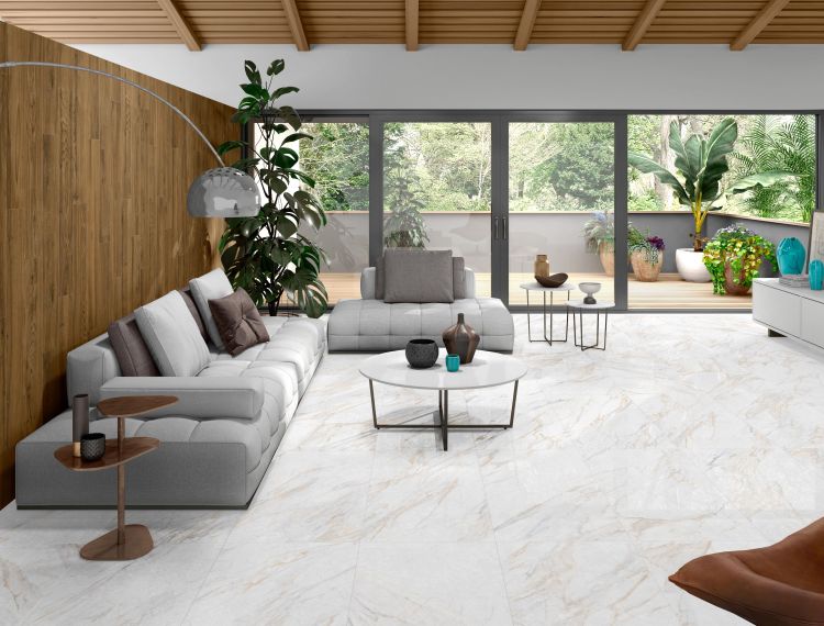 Aurum Calacatta Polished 48 x 48